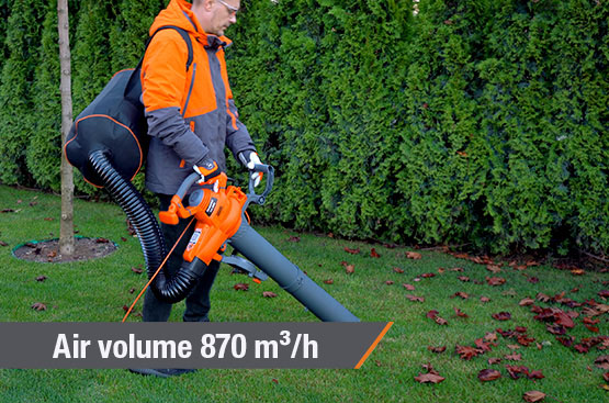 Elektrinis lapų pūstuvas-siurblys DAEWOO DABL 3000E